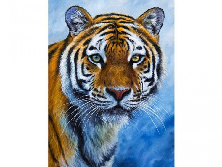 Набор юного художника 20х30 Глаза тигра (15 цветов)